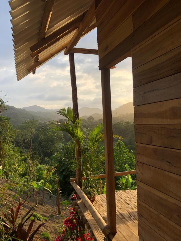 פאלומינו La Mona Eco Cabins מראה חיצוני תמונה