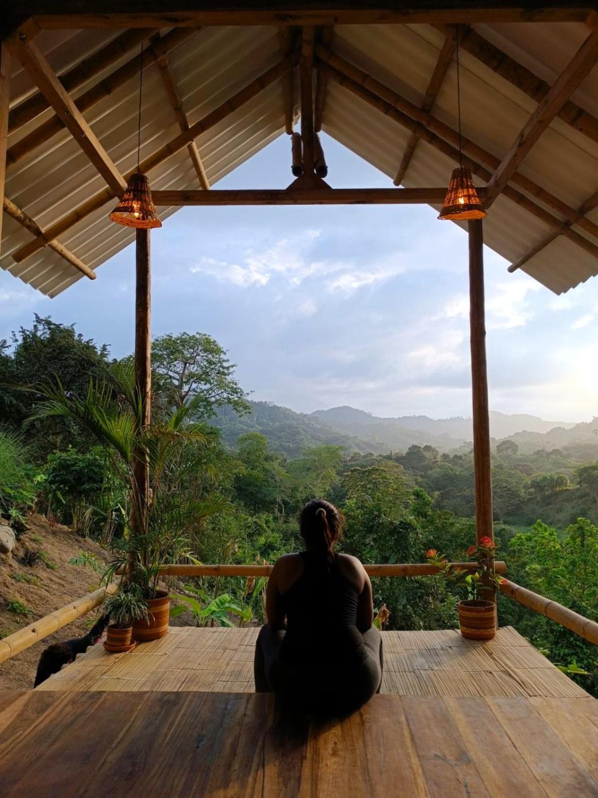 פאלומינו La Mona Eco Cabins מראה חיצוני תמונה